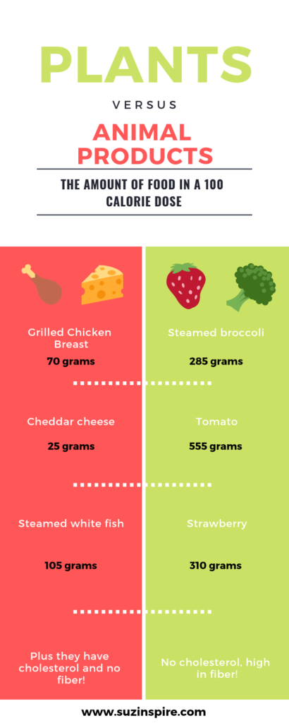 the amount of food in a 100 calorie dose